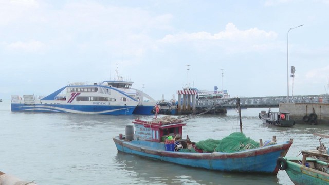 Tuyến phà Vũng Tàu - Cần Giờ tăng chuyến phục vụ hành khách - Ảnh 2.