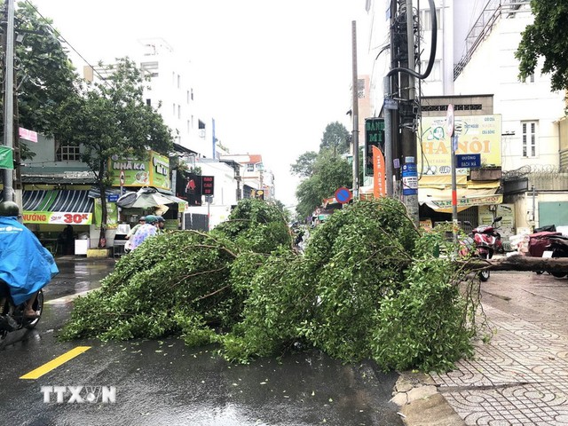Nghệ An: Một người tử vong, 4 người bị thương do dông, lốc - Ảnh 1.