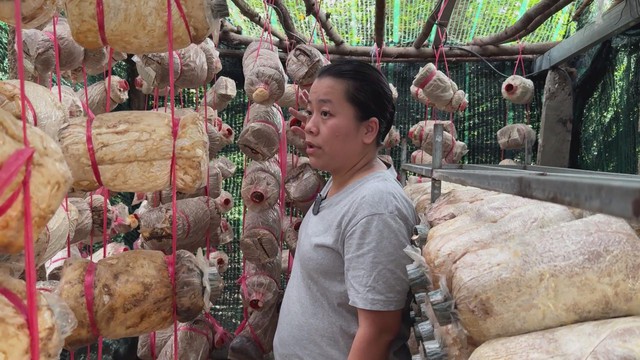 Trở về từ phố thị: Người trẻ Đắk Lắk viết lại câu chuyện khởi nghiệp trên quê hương - Ảnh 4.