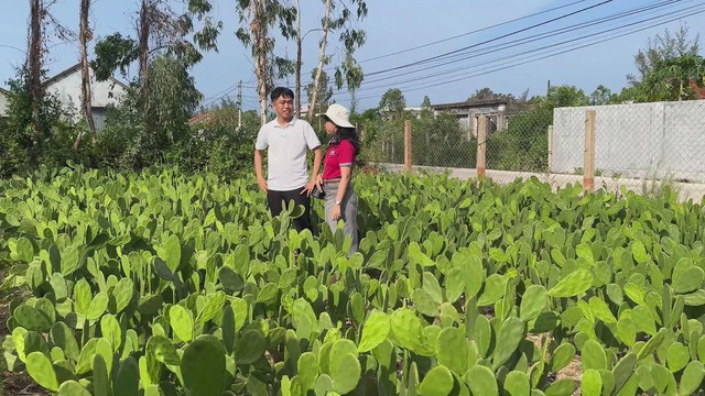 Trở về từ phố thị: Người trẻ Đắk Lắk viết lại câu chuyện khởi nghiệp trên quê hương - Ảnh 5.