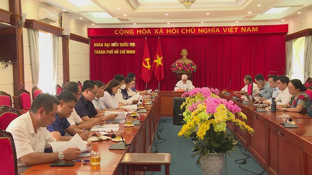 Đoàn ĐBQH TP.HCM tiếp công dân liên quan cấp giấy chứng nhận quyền sử dụng đất - Ảnh 3.