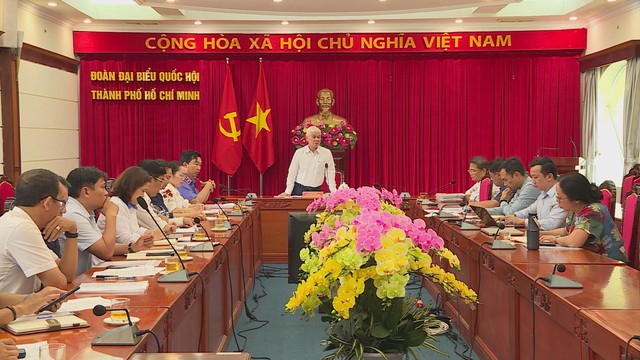 Đoàn ĐBQH TP.HCM tiếp công dân liên quan cấp giấy chứng nhận quyền sử dụng đất - Ảnh 4.
