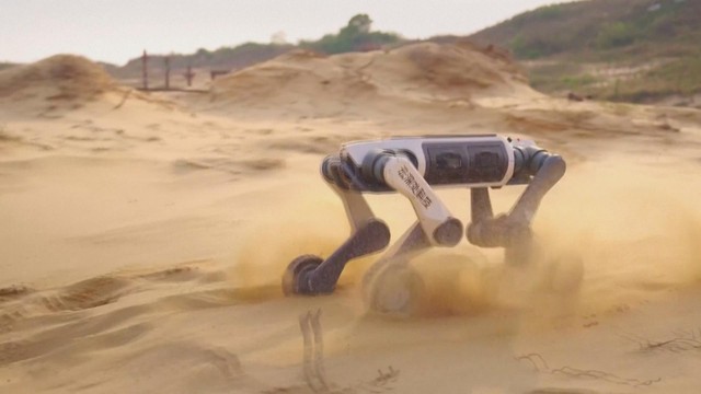 Chó robot cứu hộ thế hệ mới của Trung Quốc chính thức trình làng - Ảnh 1.