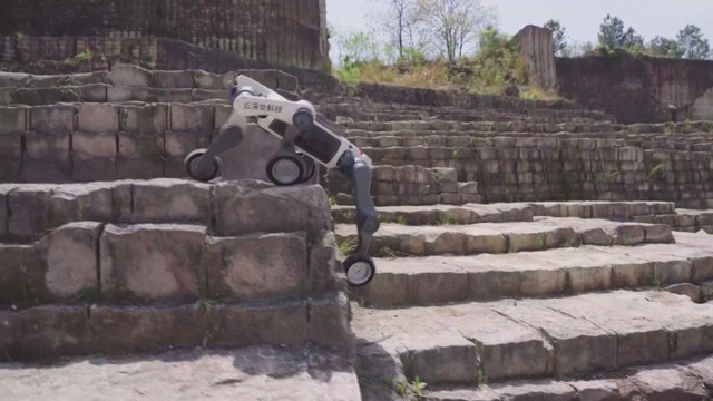 Chó robot cứu hộ thế hệ mới của Trung Quốc chính thức trình làng - Ảnh 2.