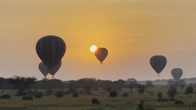 Ngắm cảnh ngoạn mục: Tour khinh khí cầu chiêm ngưỡng thú di cư tại Tanzania- Ảnh 1. Ngắm cảnh ngoạn mục: Tour khinh khí cầu chiêm ngưỡng thú di cư tại Tanzania- Ảnh 1.