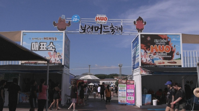 Lễ hội tắm bùn tại bãi biển Daecheon, Hàn Quốc - Ảnh 1.