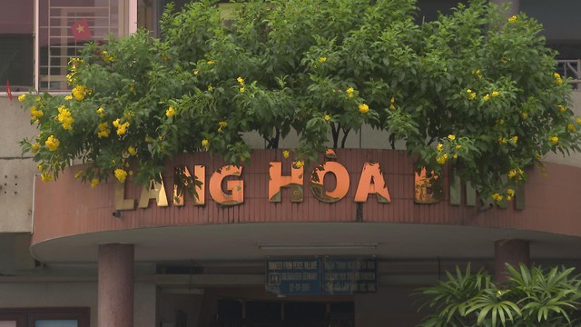 Làng Hòa Bình - Nơi ươm mầm nghị lực và lan tỏa yêu thương - Ảnh 1.