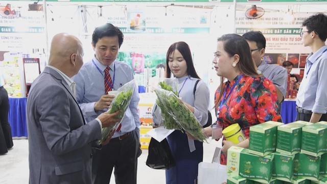 Kết nối tiêu thụ hàng Việt chất lượng cao từ chuỗi nông lâm thủy sản - Ảnh 4.