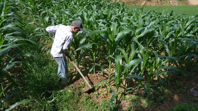 Cậu bé có cha bị tâm thần, mẹ bỏ đi khi em chưa hai tuổi - Ảnh 3.