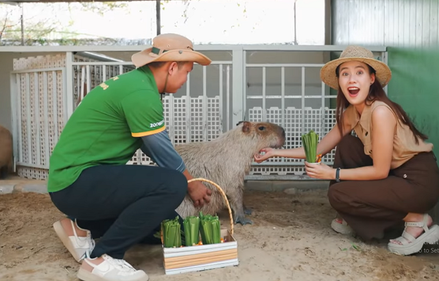 Bất ngờ với nông trại thú giữa vùng nắng gió - Ảnh 1.