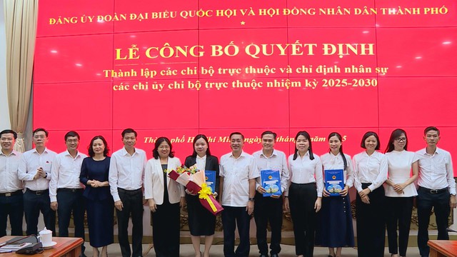 Đảng ủy Đoàn ĐBQH và HĐND TP.HCM thành lập 6 chi bộ - Ảnh 5.