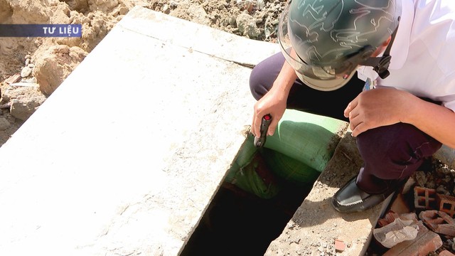 TP. HCM tăng cường giám sát bệnh Chikungunya trước nguy cơ tái xuất - Ảnh 1.