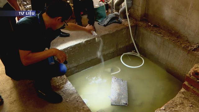 TP. HCM tăng cường giám sát bệnh Chikungunya trước nguy cơ tái xuất - Ảnh 2.