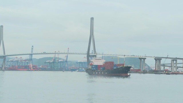 TP.HCM tăng cường kết nối với Cảng Busan, Hàn Quốc - Ảnh 1.