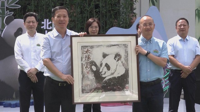 Hai gấu trúc Zhi Shi và Zhi Ma chuyển đến Cáp Nhĩ Tân - Ảnh 2.