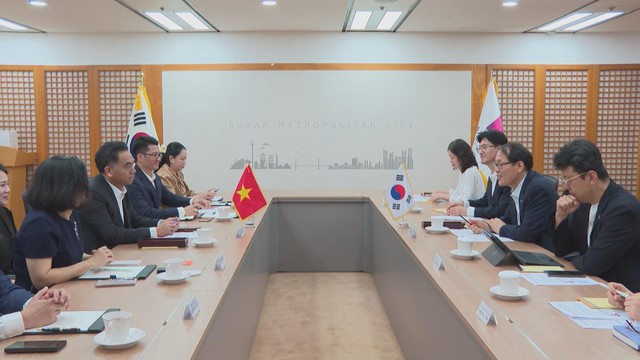 Lãnh đạo TP.HCM tiếp Phó Thị trưởng thành phố Busan - Ảnh 1.