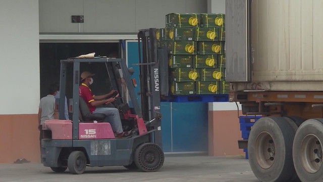 Ngành nông - lâm - thủy sản tìm giải pháp tăng trưởng xuất khẩu cuối năm - Ảnh 3.