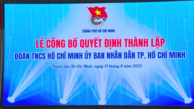 Hợp nhất lực lượng thanh niên 3 địa phương, thành lập Đoàn UBND TP.HCM - Ảnh 1.