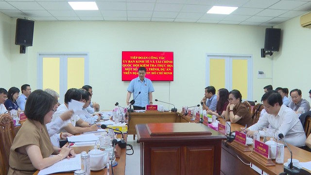 TP.HCM: Tập trung đẩy mạnh triển khai thực hiện các dự án trọng điểm - Ảnh 1.