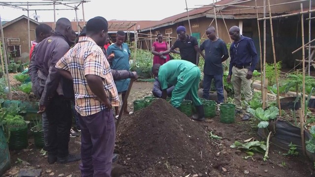 Uganda: Sáng kiến nông nghiệp đô thị giải quyết tình trạng thanh niên thất nghiệp - Ảnh 3.