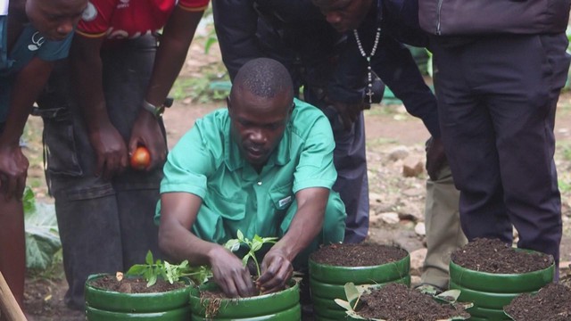 Uganda: Sáng kiến nông nghiệp đô thị giải quyết tình trạng thanh niên thất nghiệp - Ảnh 4.
