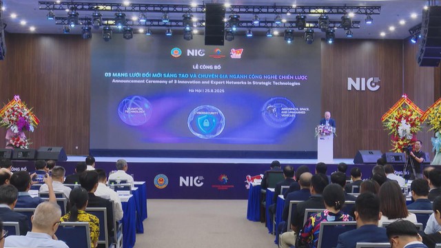 Việt Nam thành lập 3 Mạng lưới Đổi mới sáng tạo công nghệ chiến lược - Ảnh 1.