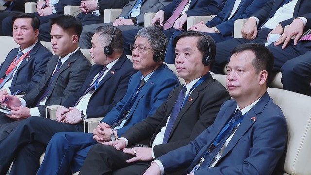 Chủ tịch nước Lương Cường tại Liên đoàn Arab: Nhấn mạnh hợp tác vì hòa bình và phát triển - Ảnh 4.