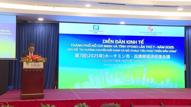 TP.HCM và Hyogo thúc đẩy hợp tác chiến lược, hướng đến phát triển xanh và số - Ảnh 1.