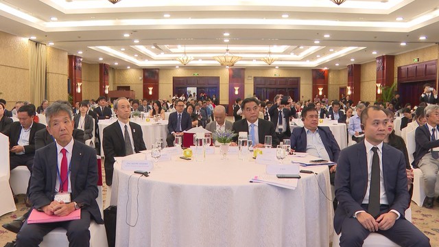 TP.HCM và Hyogo thúc đẩy hợp tác chiến lược, hướng đến phát triển xanh và số - Ảnh 2.
