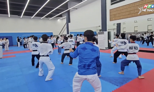 Đội tuyển quyền Taekwondo Việt Nam tập huấn Hàn Quốc - Ảnh 1.