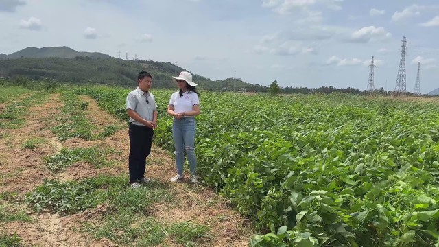 “Bỏ phố về quê”: Nông dân thế hệ mới làm giàu trên quê hương - Ảnh 1.