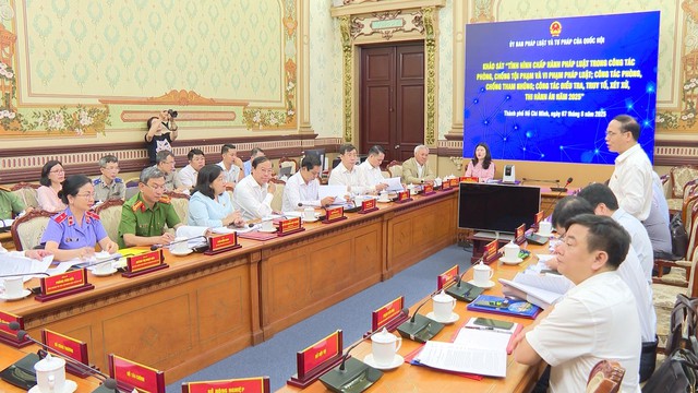 Tăng cường phòng, chống tội phạm và tham nhũng tại TP.HCM - Ảnh 2.