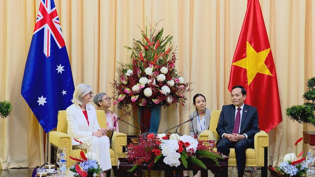 Bí thư Thành ủy TP.HCM Trần Lưu Quang tiếp Toàn quyền Australia Sam Mostyn- Ảnh 2.