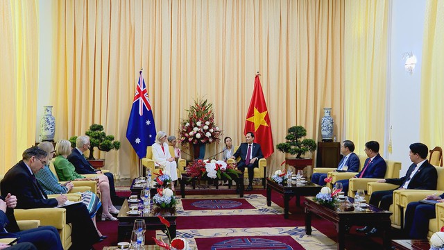Bí thư Thành ủy TP.HCM Trần Lưu Quang tiếp Toàn quyền Australia Sam Mostyn- Ảnh 1.