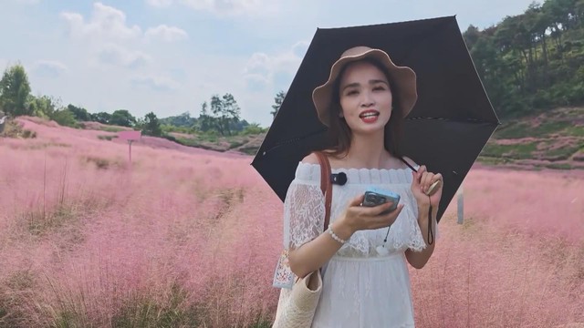 Biển hoa cỏ hồng đẹp mắt ở Quảng Tây, Trung Quốc - Ảnh 2.