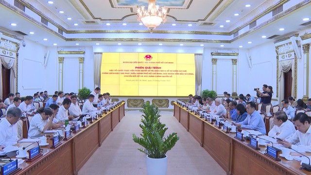 TP.HCM: Giải trình việc thực hiện Nghị quyết 98, giải ngân đầu tư công và chuyển đổi số - Ảnh 4.