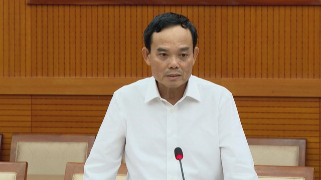 Ban Chỉ đạo phòng, chống tham nhũng, lãng phí tiêu cực TP.HCM họp phiên thứ XI - Ảnh 1.