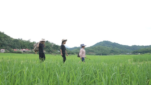 Mái ấm gia đình Việt: Đại Nghĩa, Đồng Ánh Quỳnh và Quang Hà nhiều lần bật khóc vì xót xa - Ảnh 5.