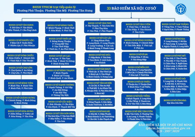 7 đơn vị BHXH cơ sở ở TP.HCM ngừng hoạt động từ ngày 1/10 - Ảnh 1.