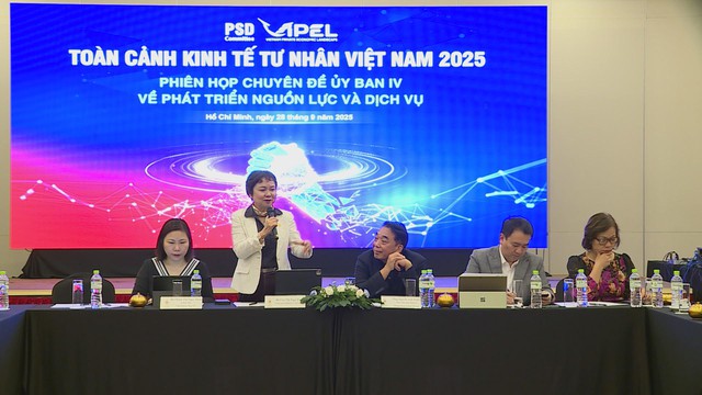 Mô hình Toàn cảnh Kinh tế tư nhân Việt Nam ViPEL: Động lực mới cho phát triển kinh tế tư nhân - Ảnh 2.