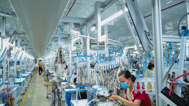 Mô hình Toàn cảnh Kinh tế tư nhân Việt Nam ViPEL: Động lực mới cho phát triển kinh tế tư nhân - Ảnh 4.