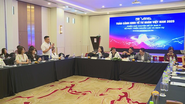 Mô hình Toàn cảnh Kinh tế tư nhân Việt Nam ViPEL: Động lực mới cho phát triển kinh tế tư nhân - Ảnh 5.