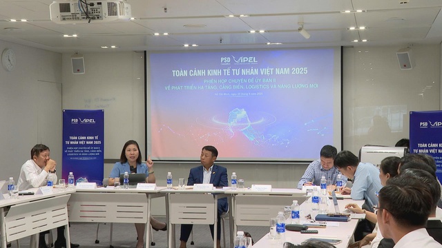 Cần cơ chế thúc đẩy hợp tác công - tư trong phát triển hạ tầng, cảng biển, logistics và năng lượng mới - Ảnh 1.