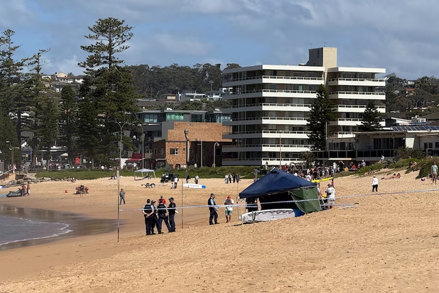 Australia: Cá mập tấn công chết người tại bãi biển Sydney - Ảnh 2.