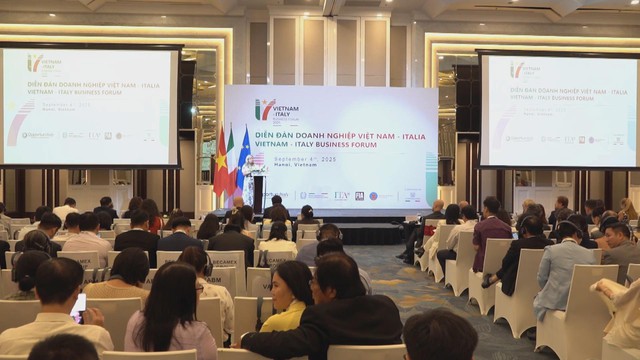 Hợp tác Italia – Việt Nam: Kết nối B2B theo ngành mở rộng cơ hội vàng - Ảnh 1.