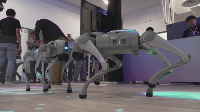 CES 2026: Kỳ vọng về thế hệ robot hình người biết làm việc - Ảnh 5.