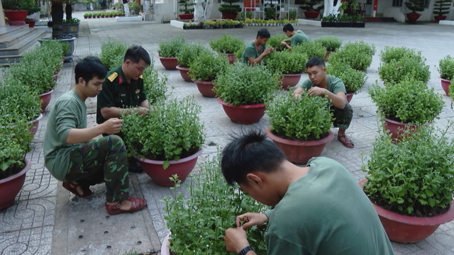 Đại đội Pháo binh 40 vượt nắng gió thao trường, chăm 500 chậu hoa đón Tết - Ảnh 1.