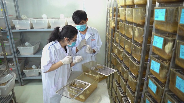 Thời sự HTV ngày 11/1/2026 | - Ảnh 4.