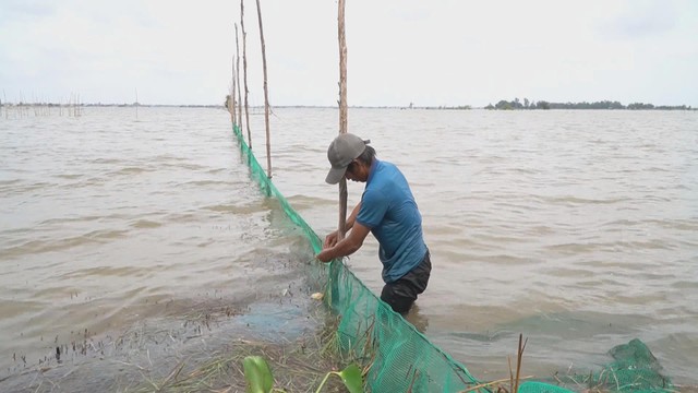 60 Giây ngày 11/1/2026 | Nghệ An: Ngư dân trúng đậm 16 tấn cá cơm - Ảnh 2.