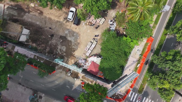 Thời sự HTV ngày 12/1/2026 | TP. Hồ Chí Minh: Xanh hóa đô thị đón Tết Nguyên đán - Ảnh 1.